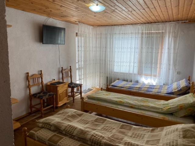 Tsvetkovi Guest House Добриниште Экстерьер фото